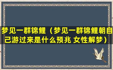 梦见一群锦鲤（梦见一群锦鲤朝自己游过来是什么预兆 女性解梦）